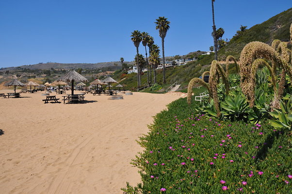 DSC 1383