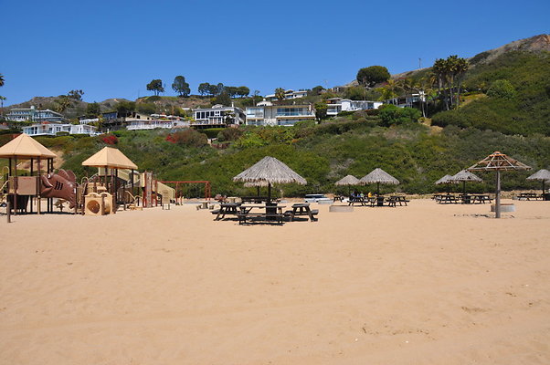 DSC 1479
