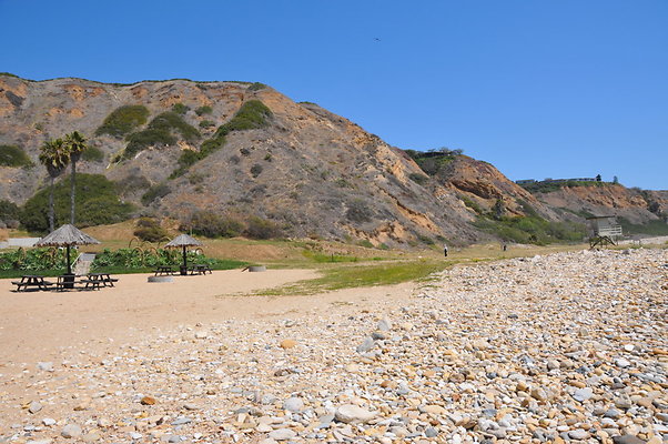 DSC 1472