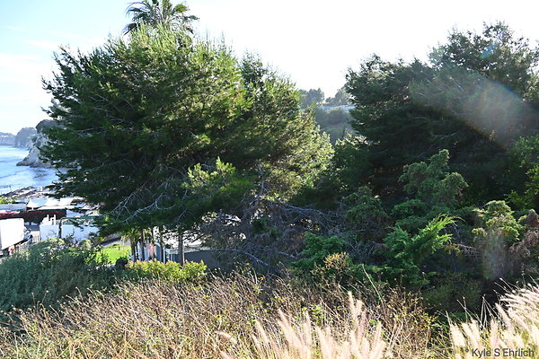 DSK 0470