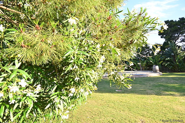 DSK 0658