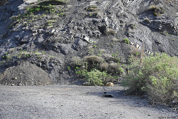 DSK 0973