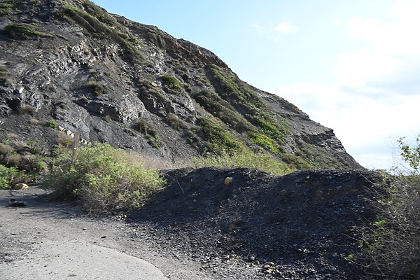 DSK 0976