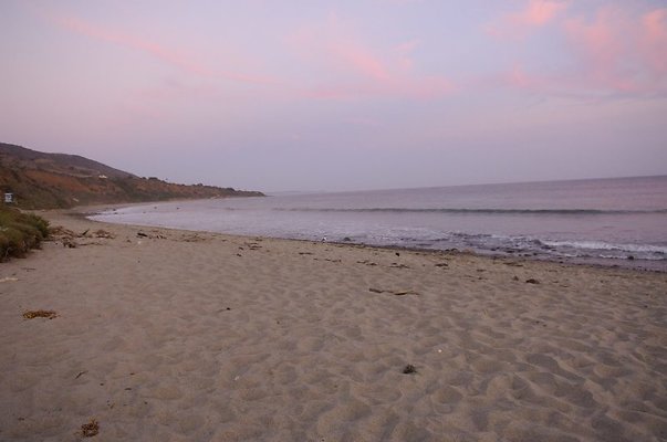 DSC5825