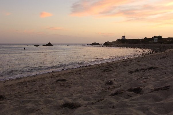 DSC5805