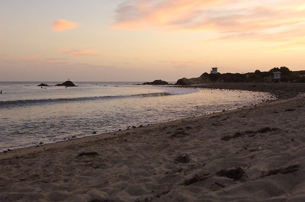  DSC5800