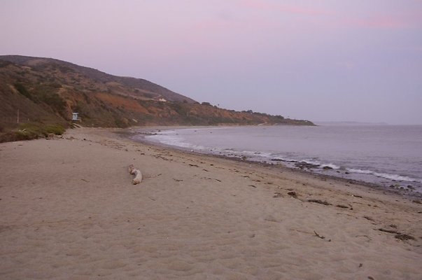  DSC5829
