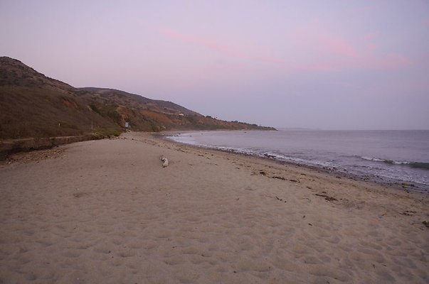  DSC5830
