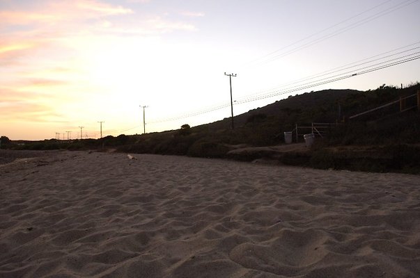  DSC5798