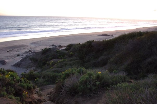 DSC 3720