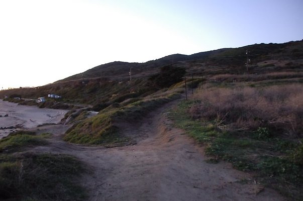 DSC 3723