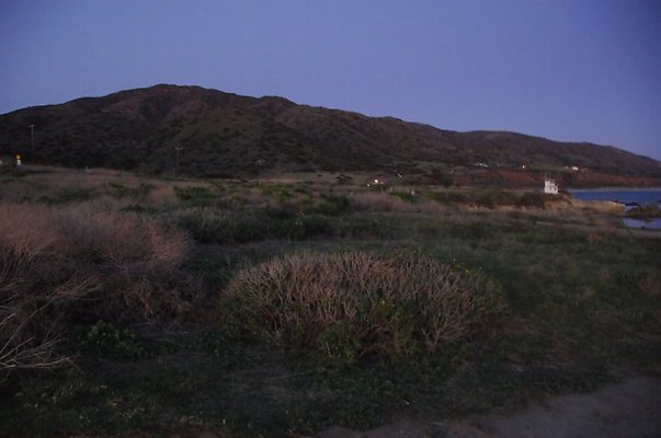 DSC 3728