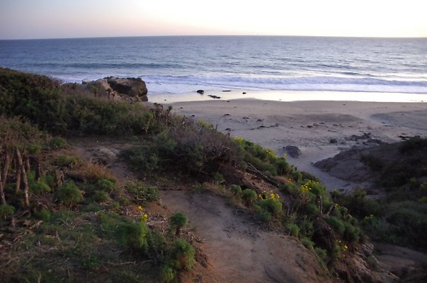 DSC 3719