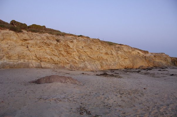 DSC 3692