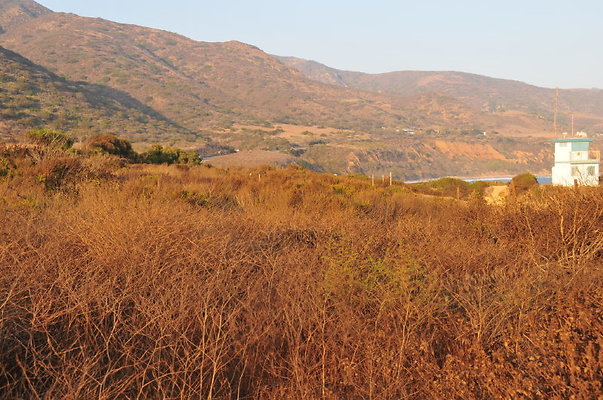 EKS 7553