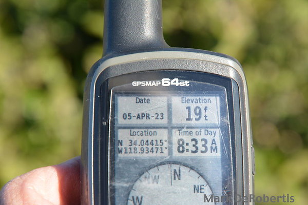 MDR 0497B