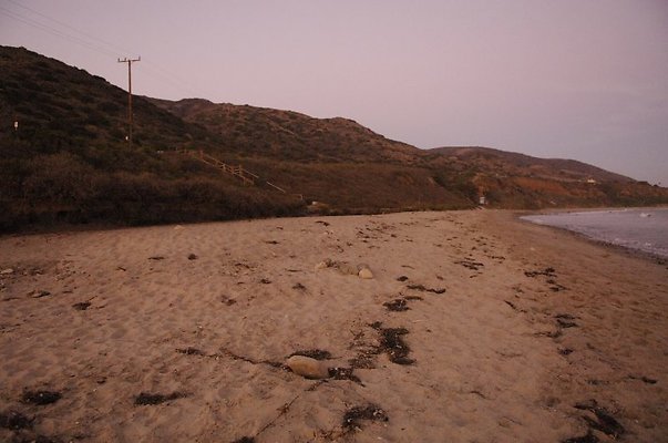  DSC5867