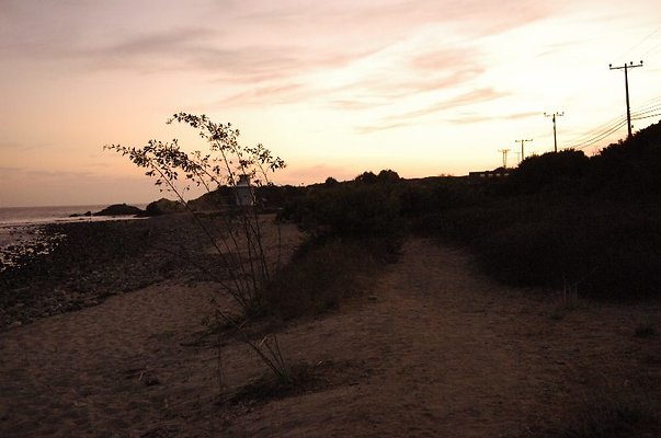  DSC5892