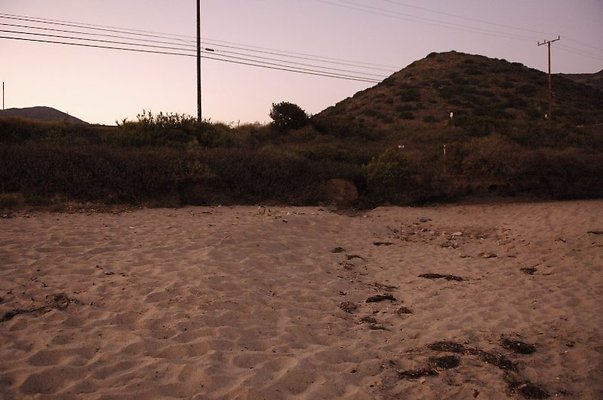  DSC5866