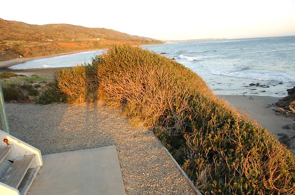 DSC 3545