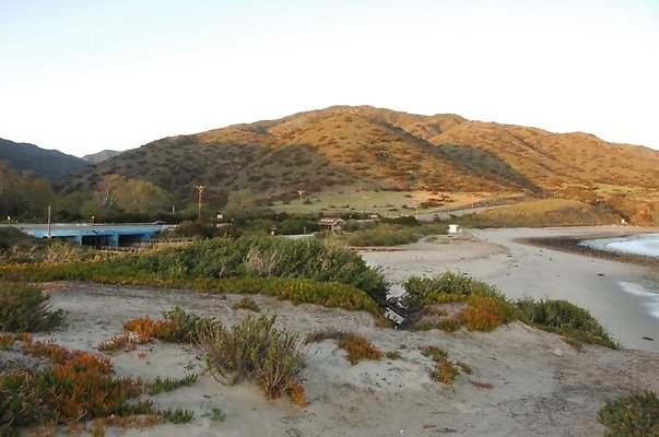 DSC 3538