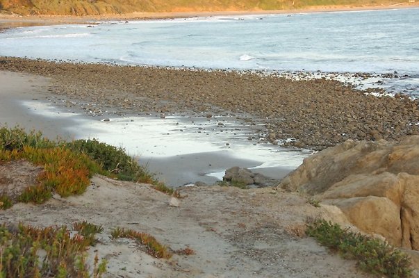 DSC 3526