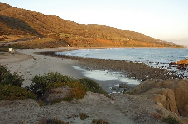 DSC 3528