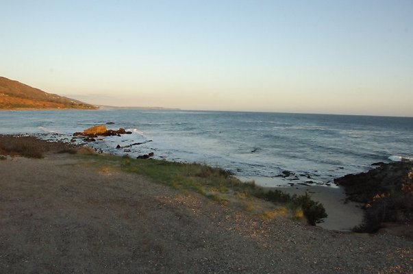 DSC 3520