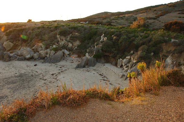 DSC 3544