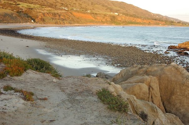 DSC 3534