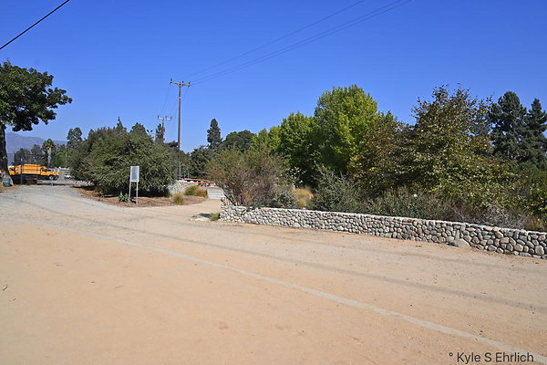 DSC 6163