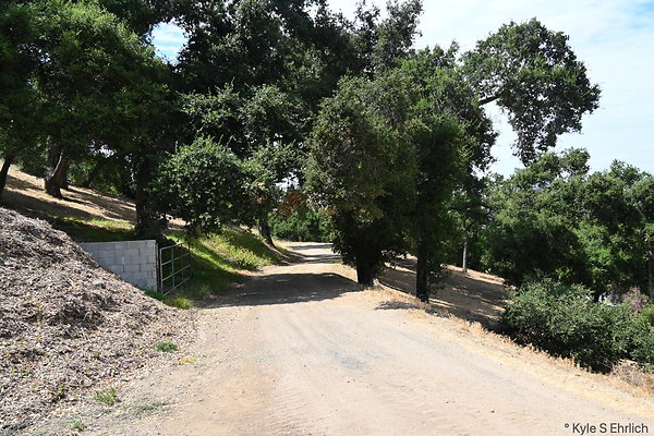 DSK 6893
