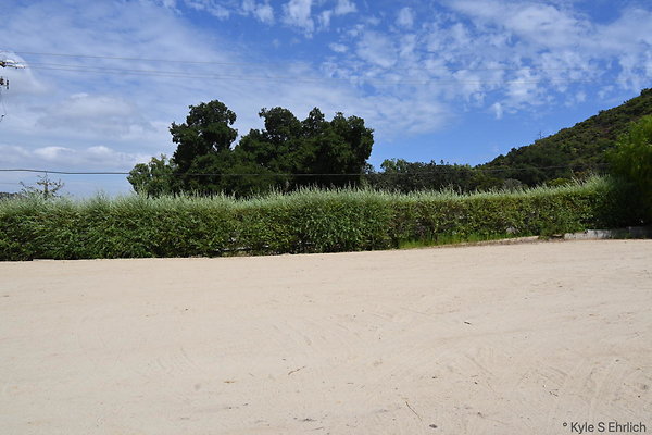 DSK 7001