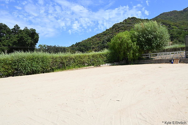 DSK 7016