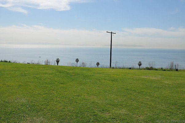 DSC 1536