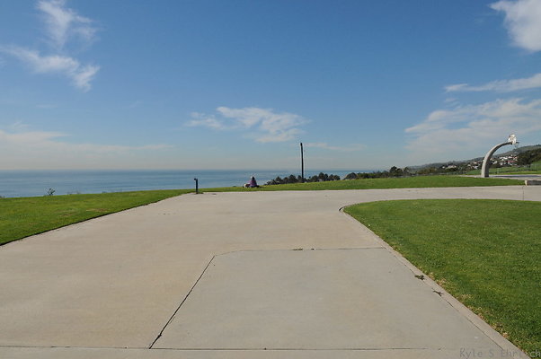 DSC 1519