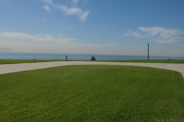 DSC 1517