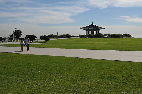 DSC 1515