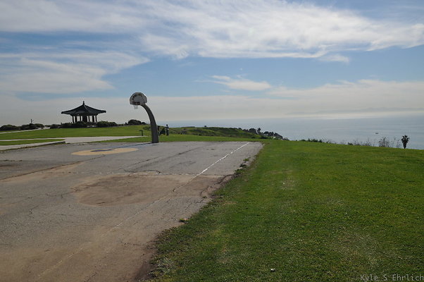 DSC 1531