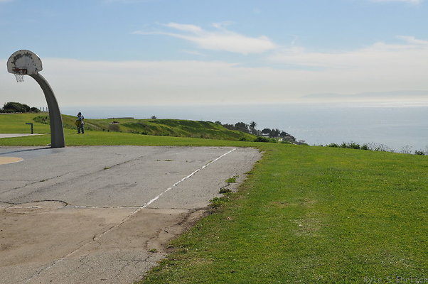 DSC 1532
