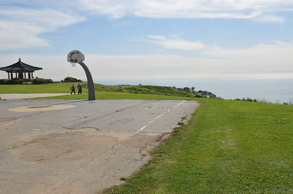 DSC 1535