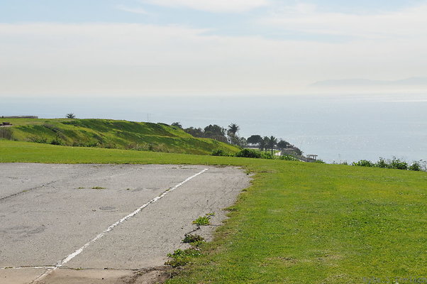 DSC 1533