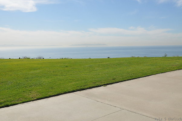 DSC 1521
