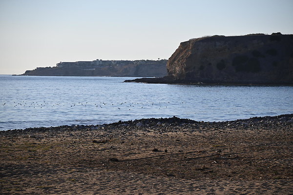DSK 4876