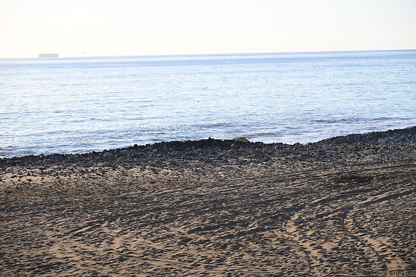 DSK 5958