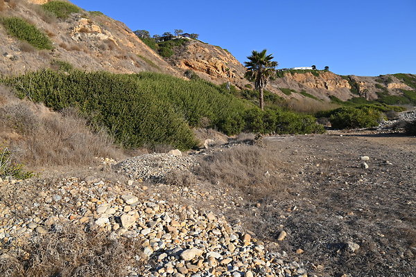 DSK 5783