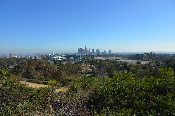 DSC 0266