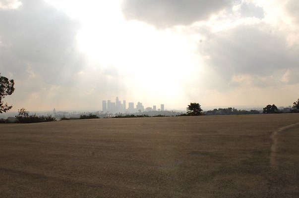 DSC 3097