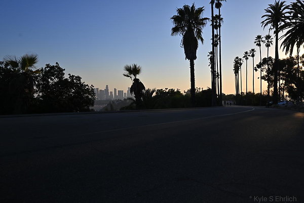 DSC 6774