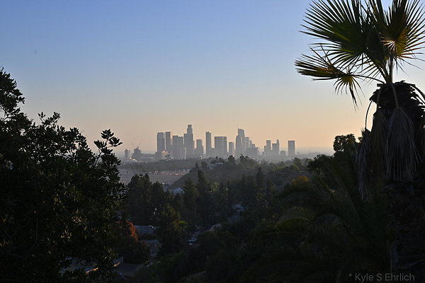 DSC 6752
